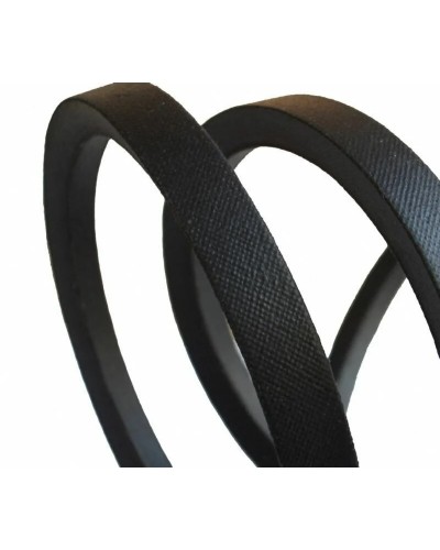 Beltplus 8v 3000 Kayış